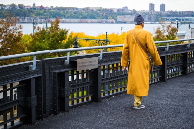 Kalvexandoria energia