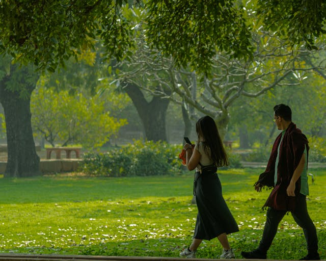 Kalvexandoria energia